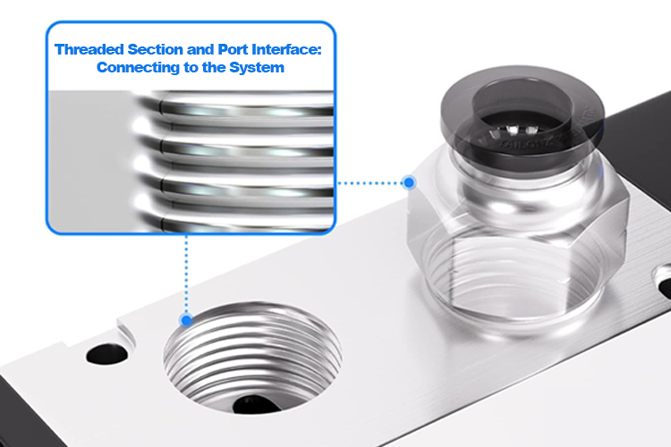 Pneumatic Quick Coupling Components: Inside the Structure of Push-to-Connect Fittings