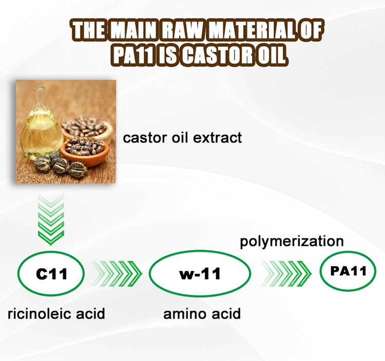 Why is PA11 considered more environmentally friendly and sustainable