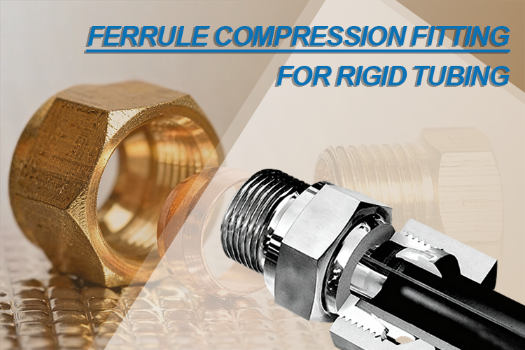 Ferrule Compression Fitting for Rigid Tubing What It Is and How to Choose the Right Connection