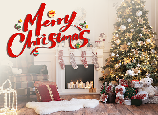 Merry Christmas and Happy New Year 2026